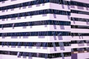 中国篮球职业联赛青训体系建设与优化，中国青年篮球队