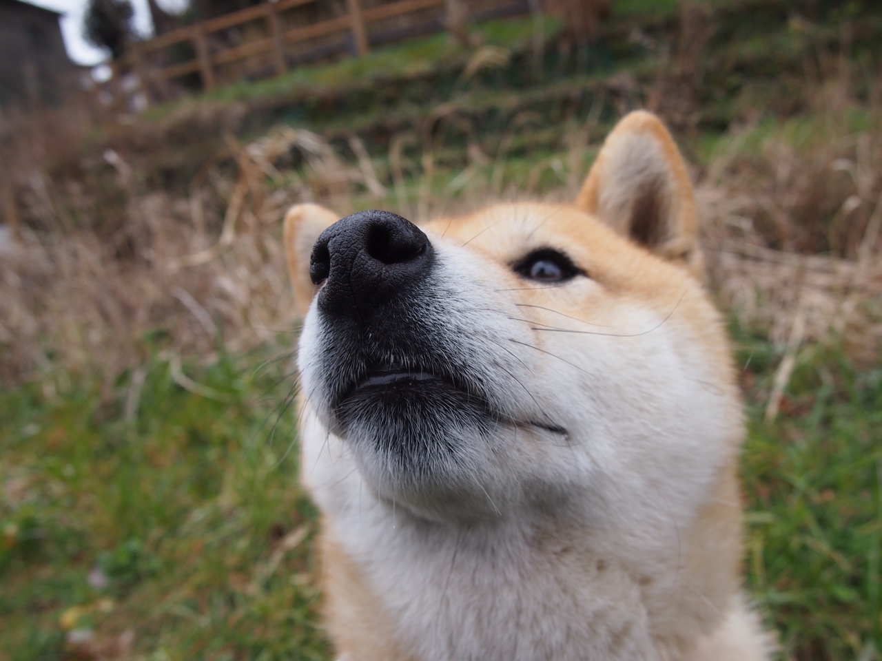 开云体育在线入口-朱婷携球队拍摄新赛季定妆照，朱婷决定